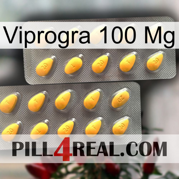 Viprogra 100Mg cialis2.jpg